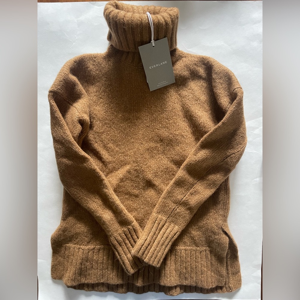 Everlane The Cloud Turtleneck